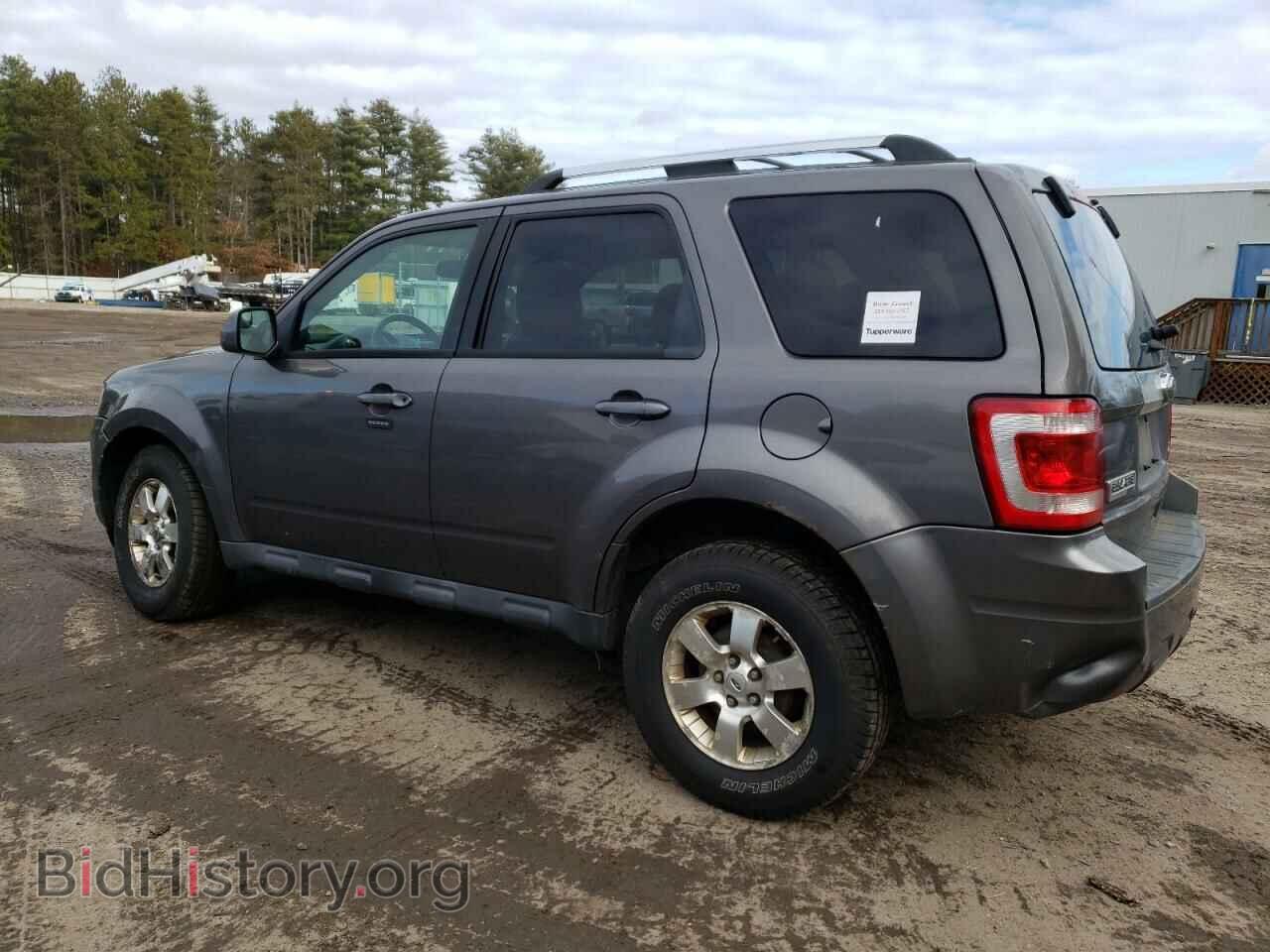 2011 FORD ESCAPE - VIN: 1FMCU9EG4BKC69133 - Фото 2