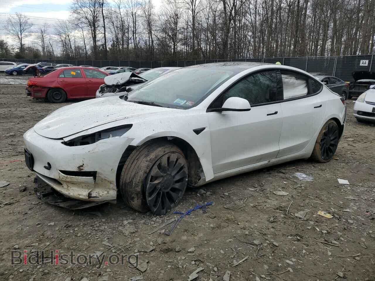 Photo 5YJ3E1EC3PF464600 - TESLA MODEL 3 2023
