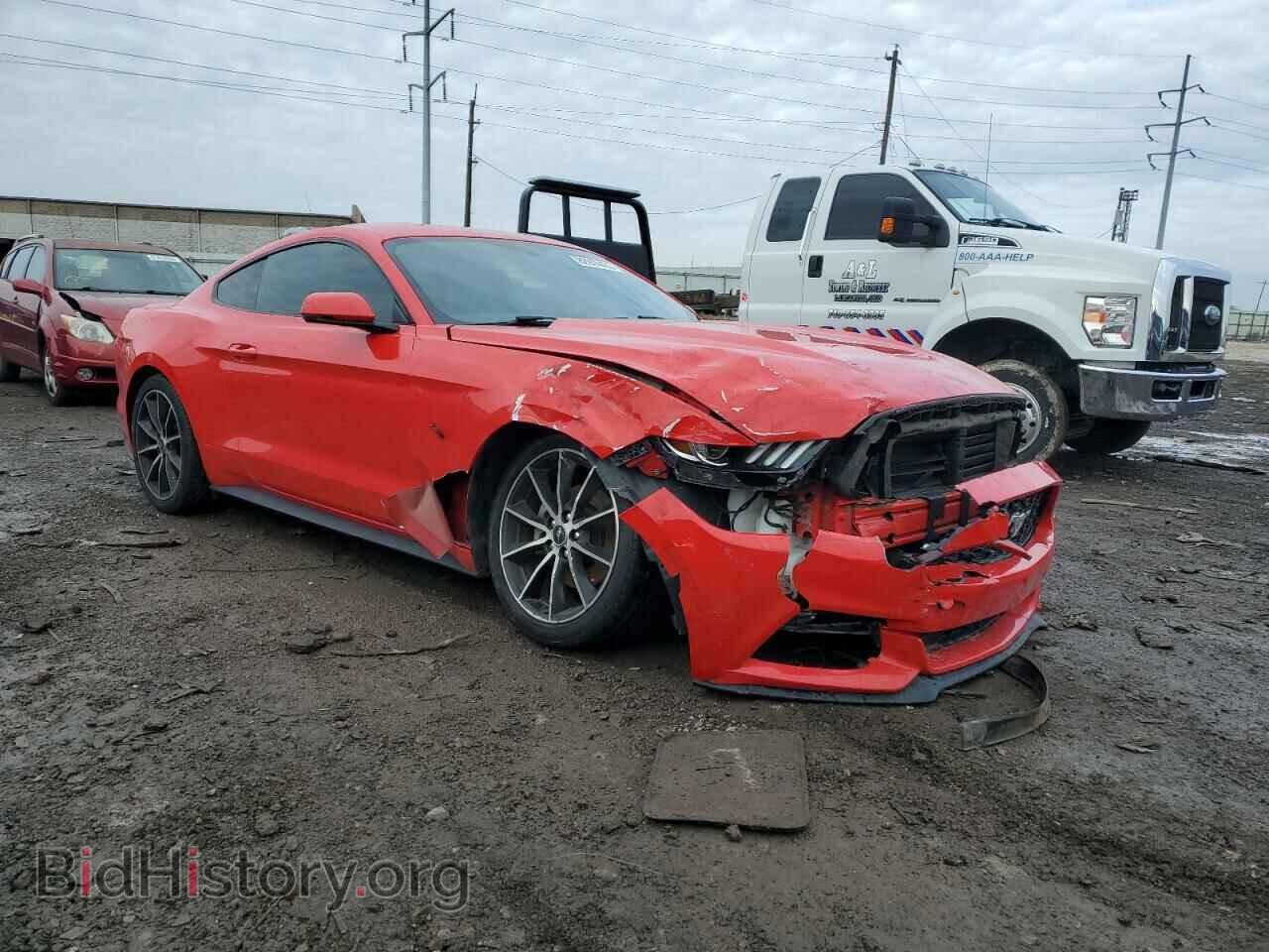 2017 FORD ALL Models - VIN: 1FA6P8TH3H5314929 - Фото 4