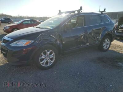 2011 Mazda CX-9, blue — VIN JM3TB3BA2B0306772, Copart