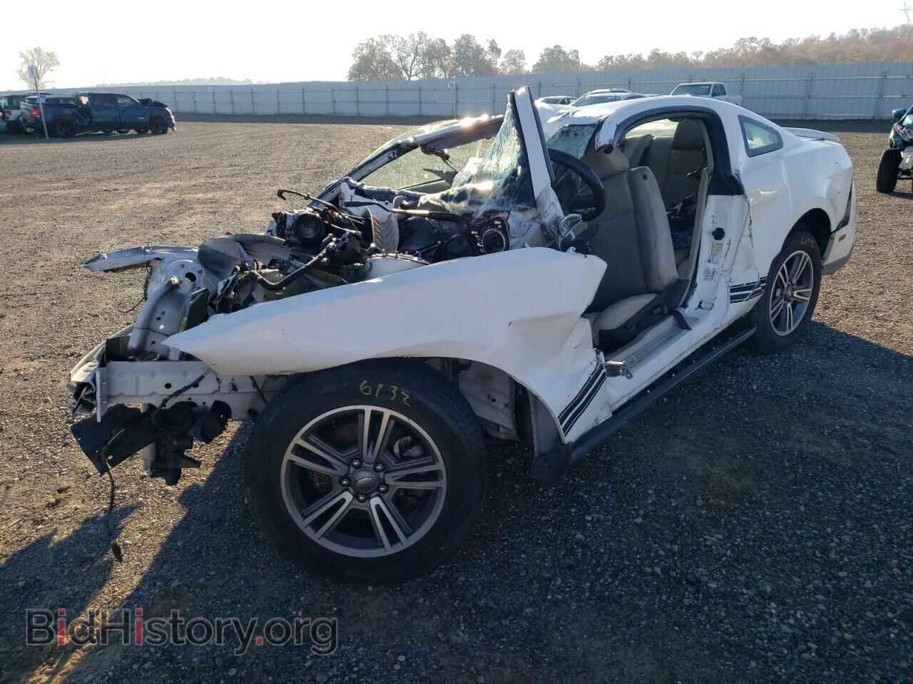 Photo 1ZVBP8AM6B5111482 - FORD ALL Models 2011