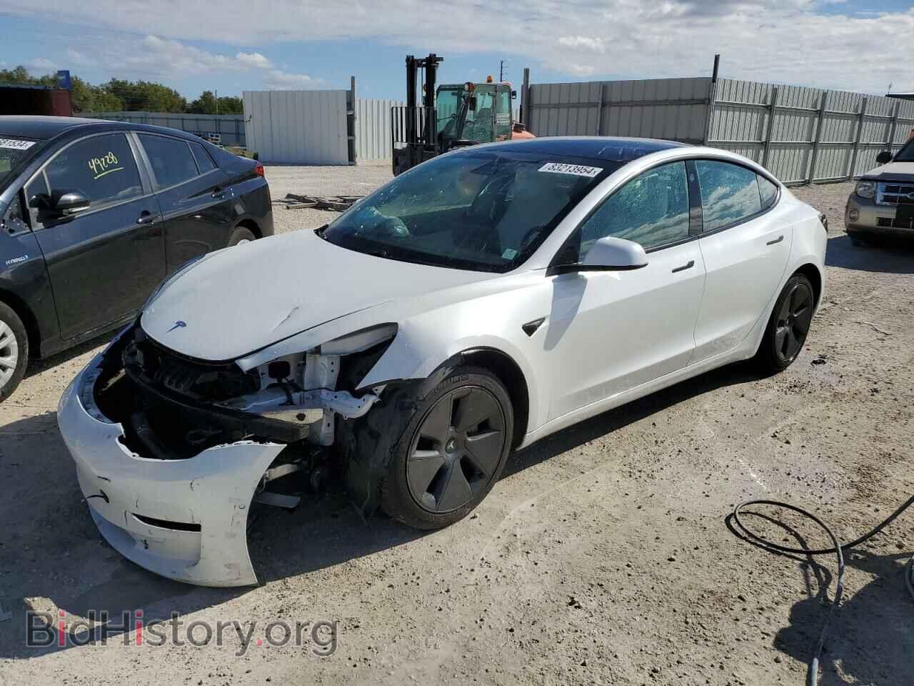 Photo 5YJ3E1EA5MF908568 - TESLA MODEL 3 2021