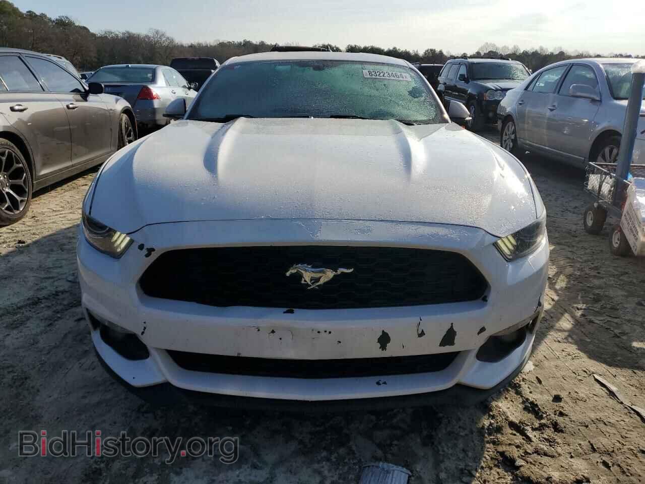2017 FORD ALL Models - VIN: 1FA6P8TH1H5264208 - Фото 5