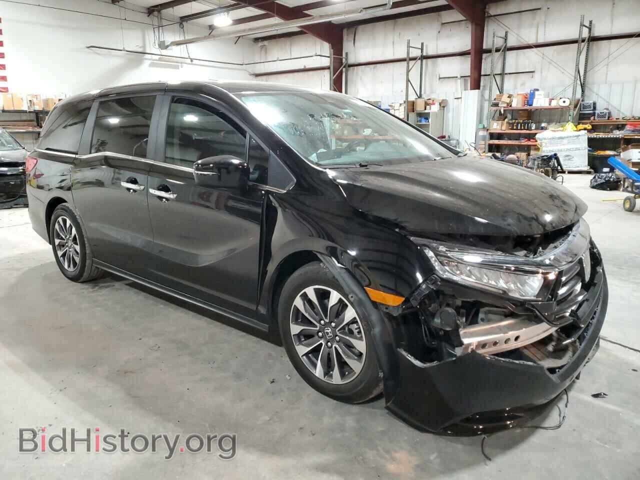 2023 HONDA All Models - VIN: 5FNRL6H65PB010643 - Фото 4