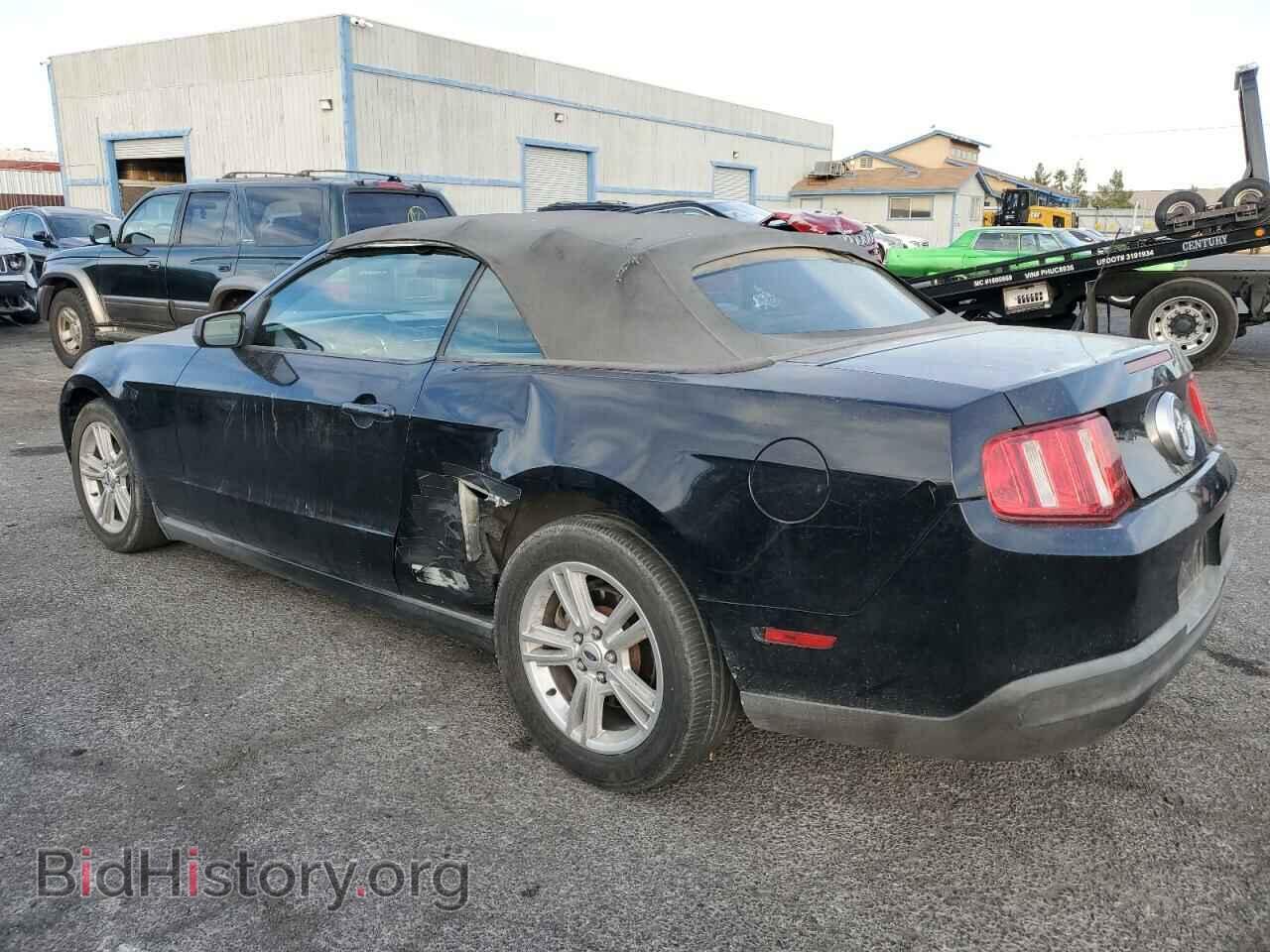 2010 FORD ALL Models - VIN: 1ZVBP8EN8A5177890 - Фото 2