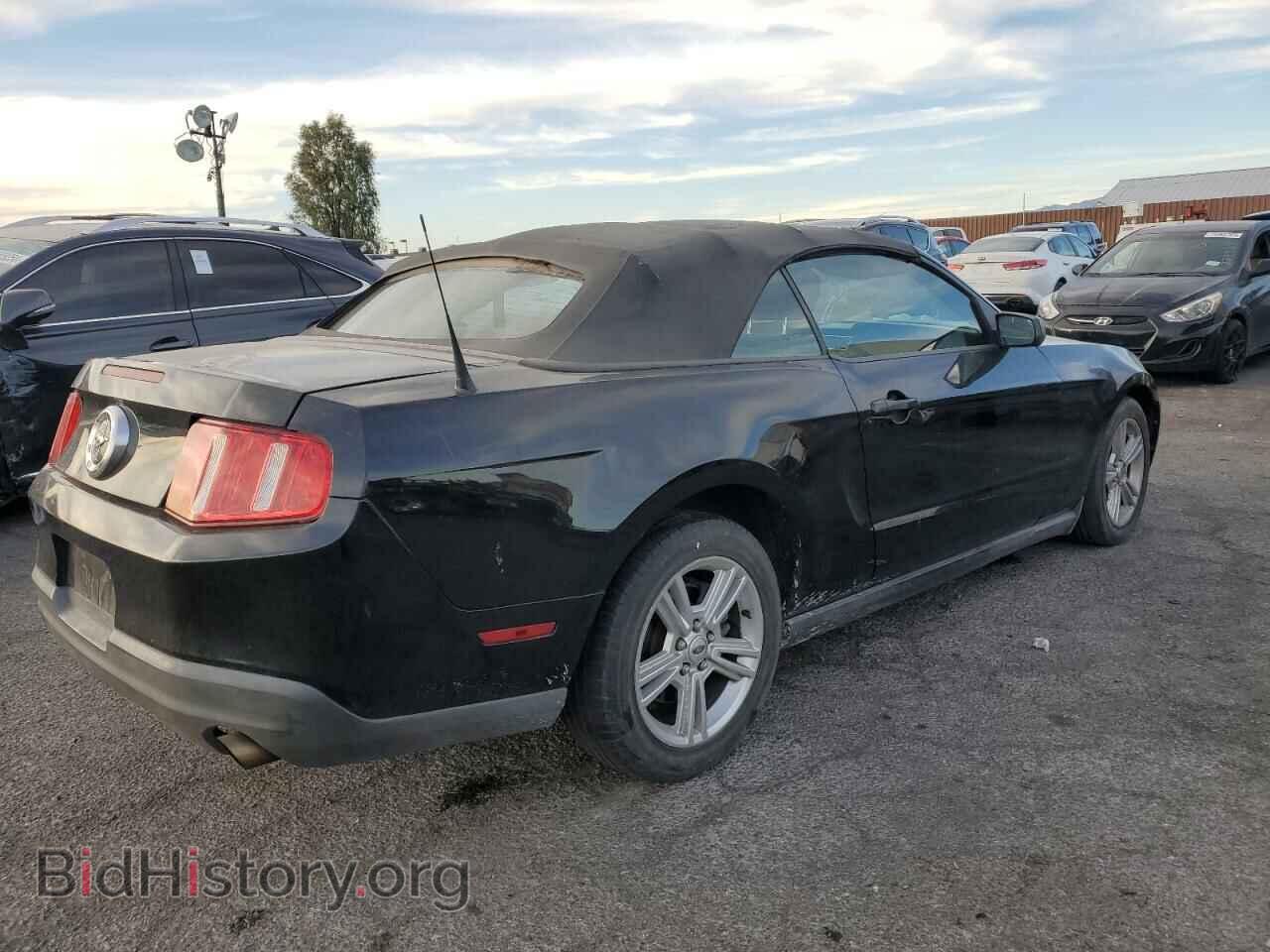 2010 FORD ALL Models - VIN: 1ZVBP8EN8A5177890 - Фото 3