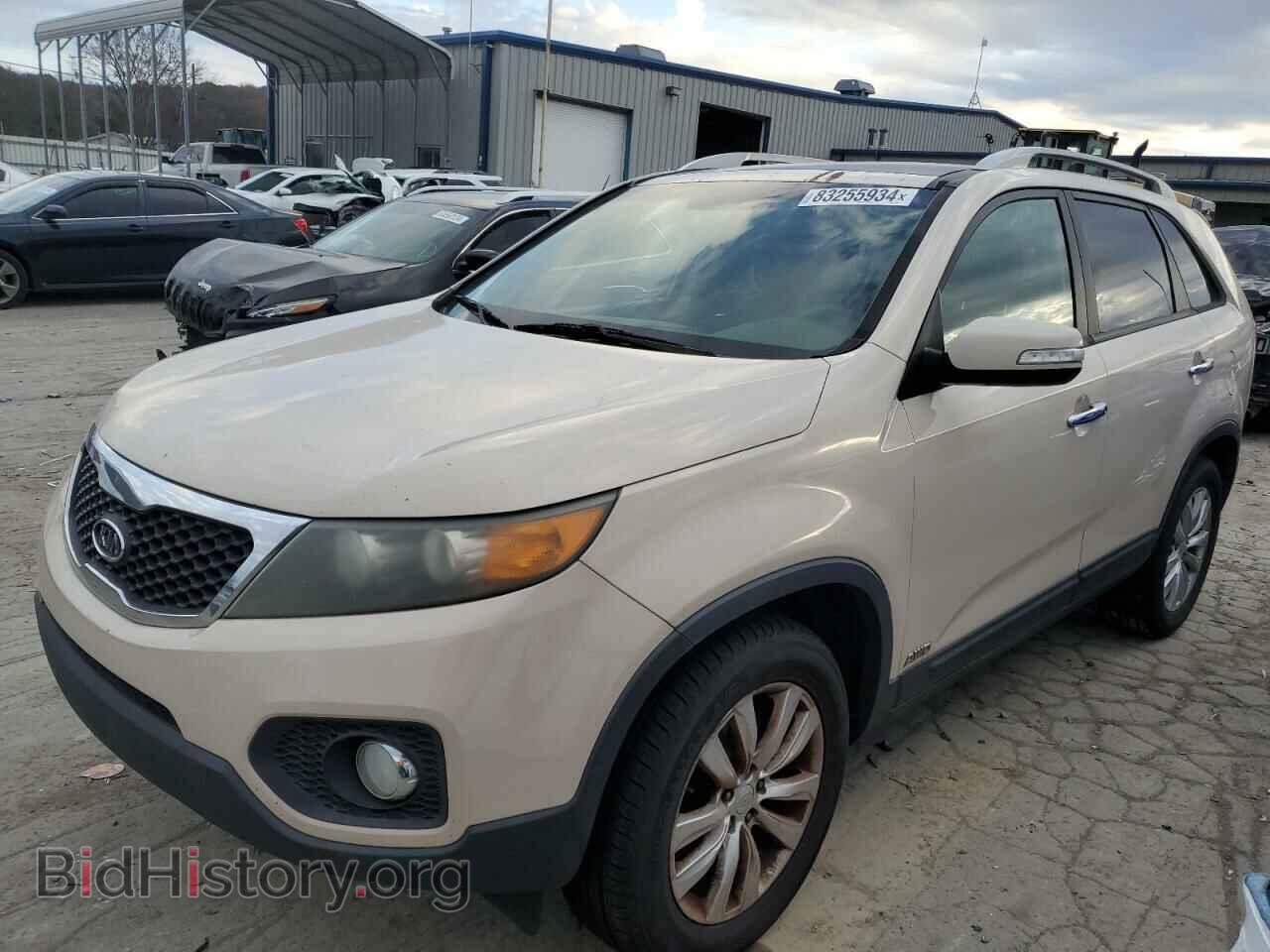 Фотография 5XYKUDA29BG103855 - KIA SORENTO 2011