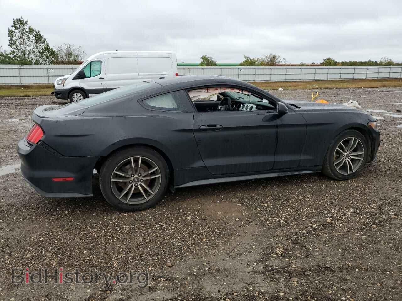 2017 FORD ALL Models - VIN: 1FA6P8THXH5256611 - Фото 3