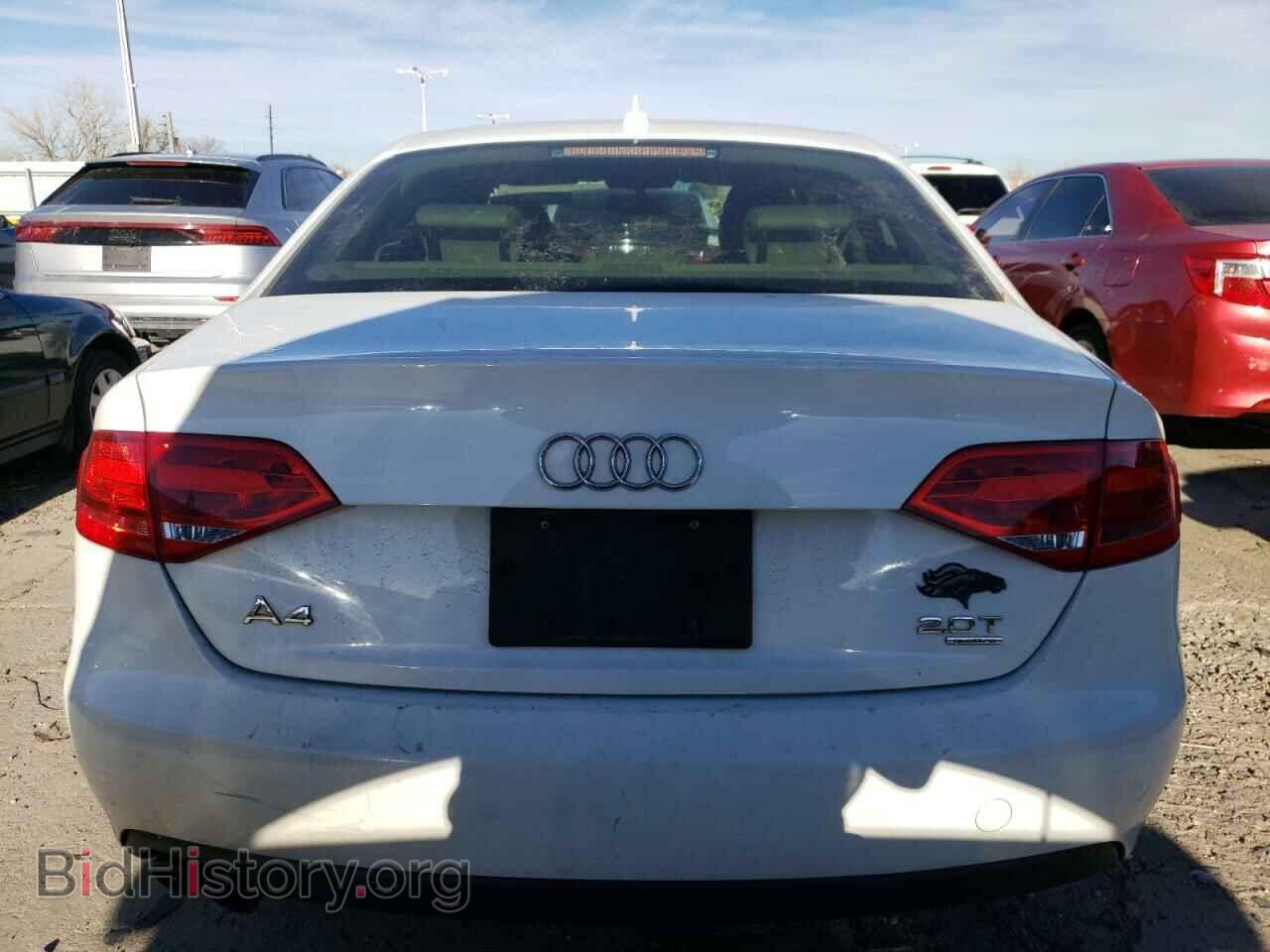 2010 AUDI A4 - VIN: WAUBFAFL2AN002025 - Фото 6