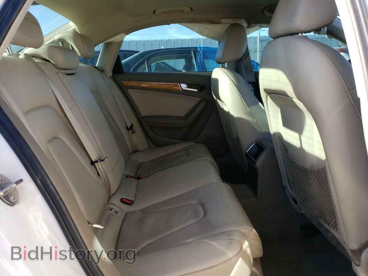 2010 AUDI A4 - VIN: WAUBFAFL2AN002025 - Фото 10