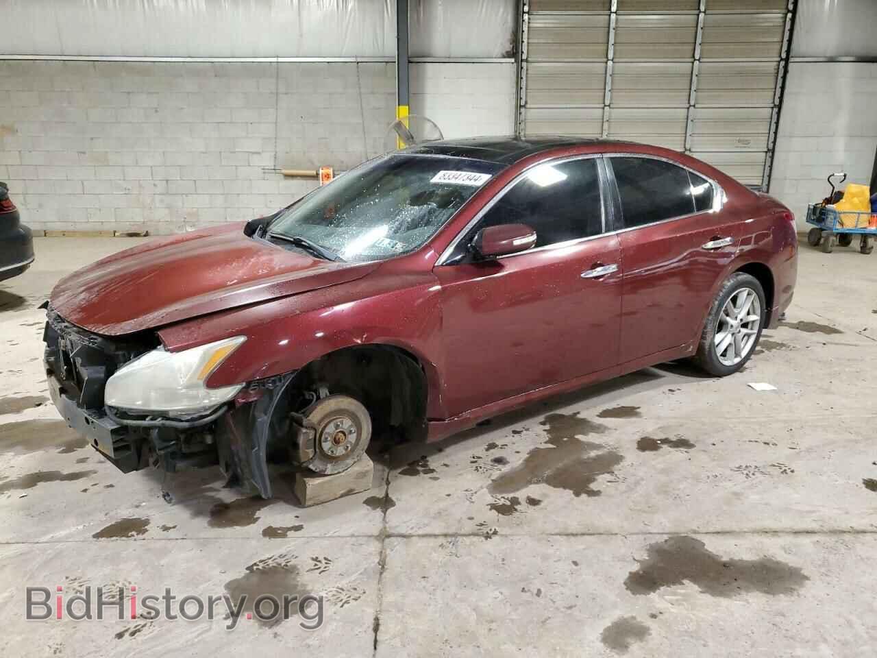 Photo 1N4AA5AP7BC820075 - NISSAN MAXIMA 2011
