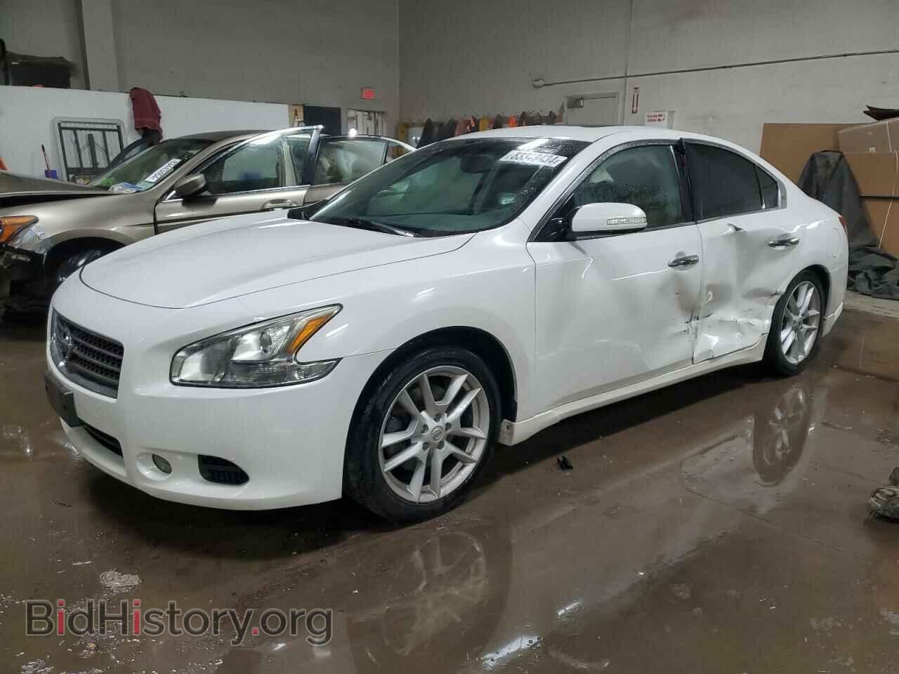 Photo 1N4AA5AP7BC849494 - NISSAN MAXIMA 2011