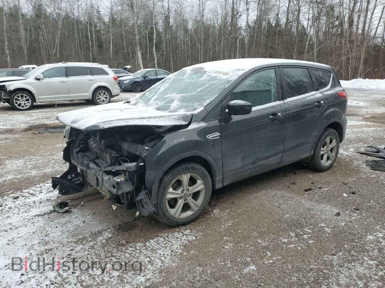 Фотография 1FMCU0GX4EUB10341 - FORD ESCAPE 2014
