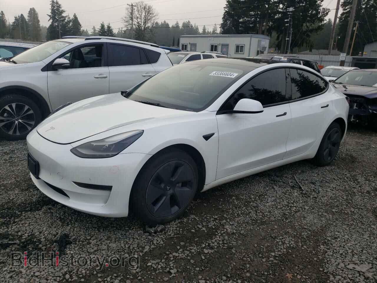 Photo 5YJ3E1EA1PF479479 - TESLA MODEL 3 2023