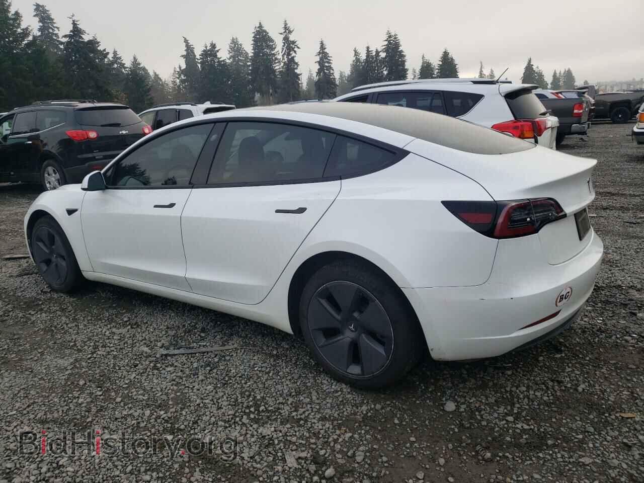 2023 TESLA MODEL 3 - VIN: 5YJ3E1EA1PF479479 - Photo 2