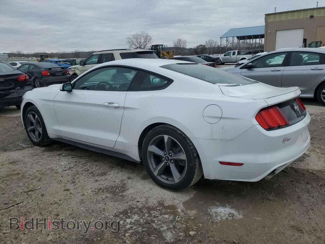2016 FORD ALL Models - VIN: 1FA6P8AM8G5296331 - Photo 2