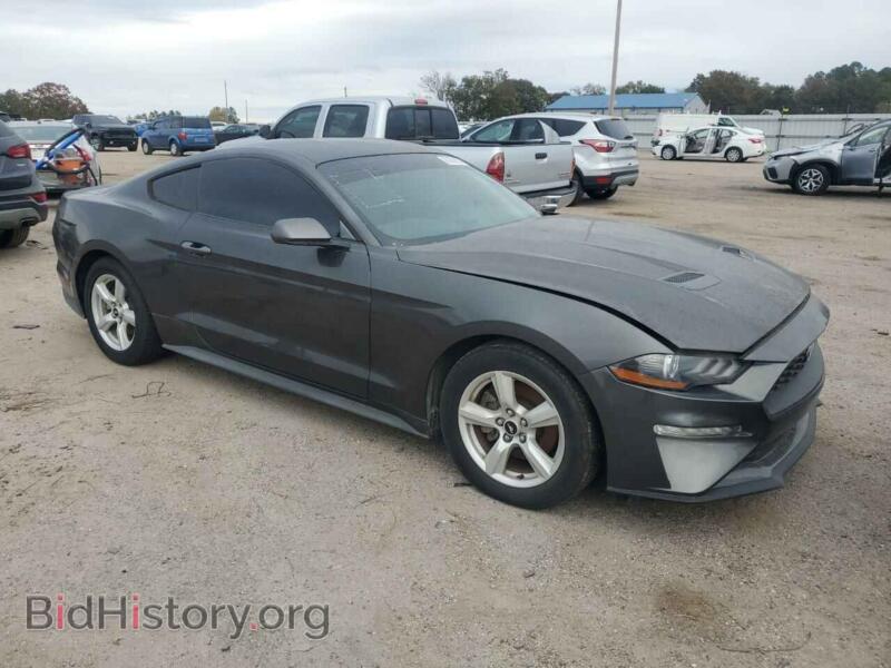2019 Ford ALL MODELS (VIN 1FA6P8TH7K5105670) — photo 4 of 12
