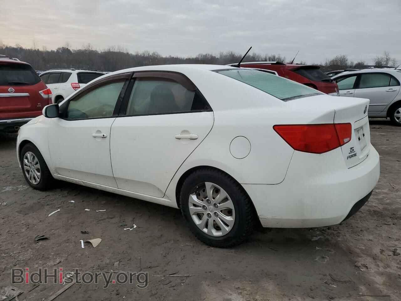 2013 KIA FORTE - VIN: KNAFT4A20D5676544 - Фото 2