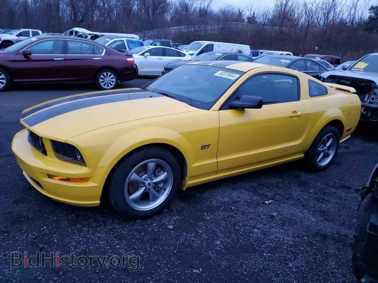 Photo 1ZVFT82H865113030 - FORD MUSTANG 2006