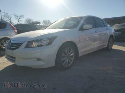 2011 Honda ACCORD EXL, белый — VIN 5KBCP3F80BB002425, Copart