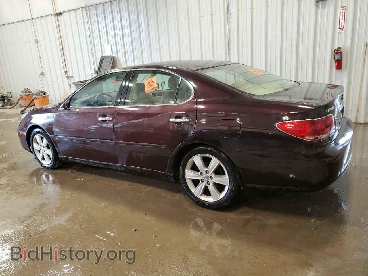 2005 LEXUS ES330 - VIN: JTHBA30G955135023 - Фото 2