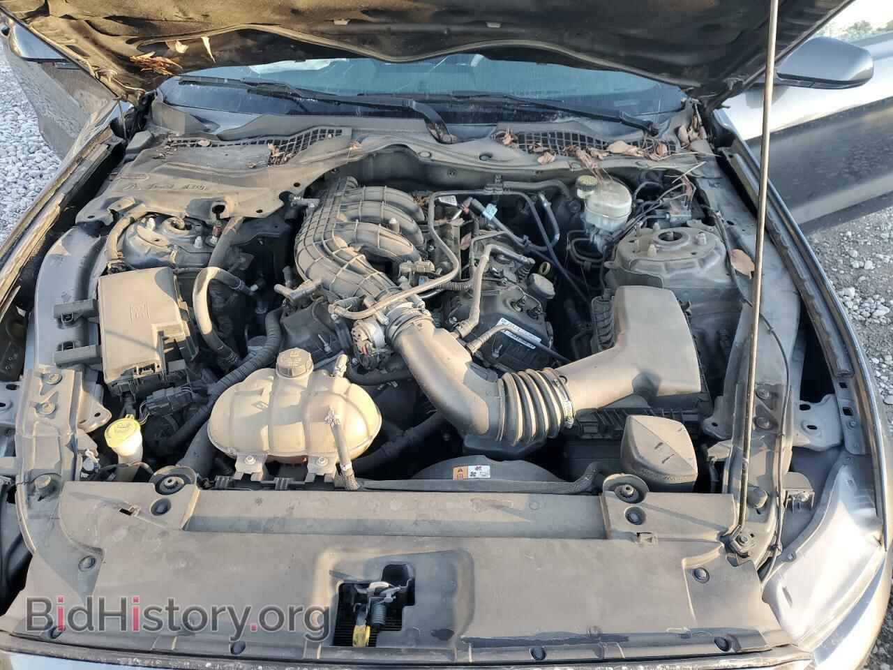 2017 FORD ALL Models - VIN: 1FA6P8AM5H5264762 - Фото 11