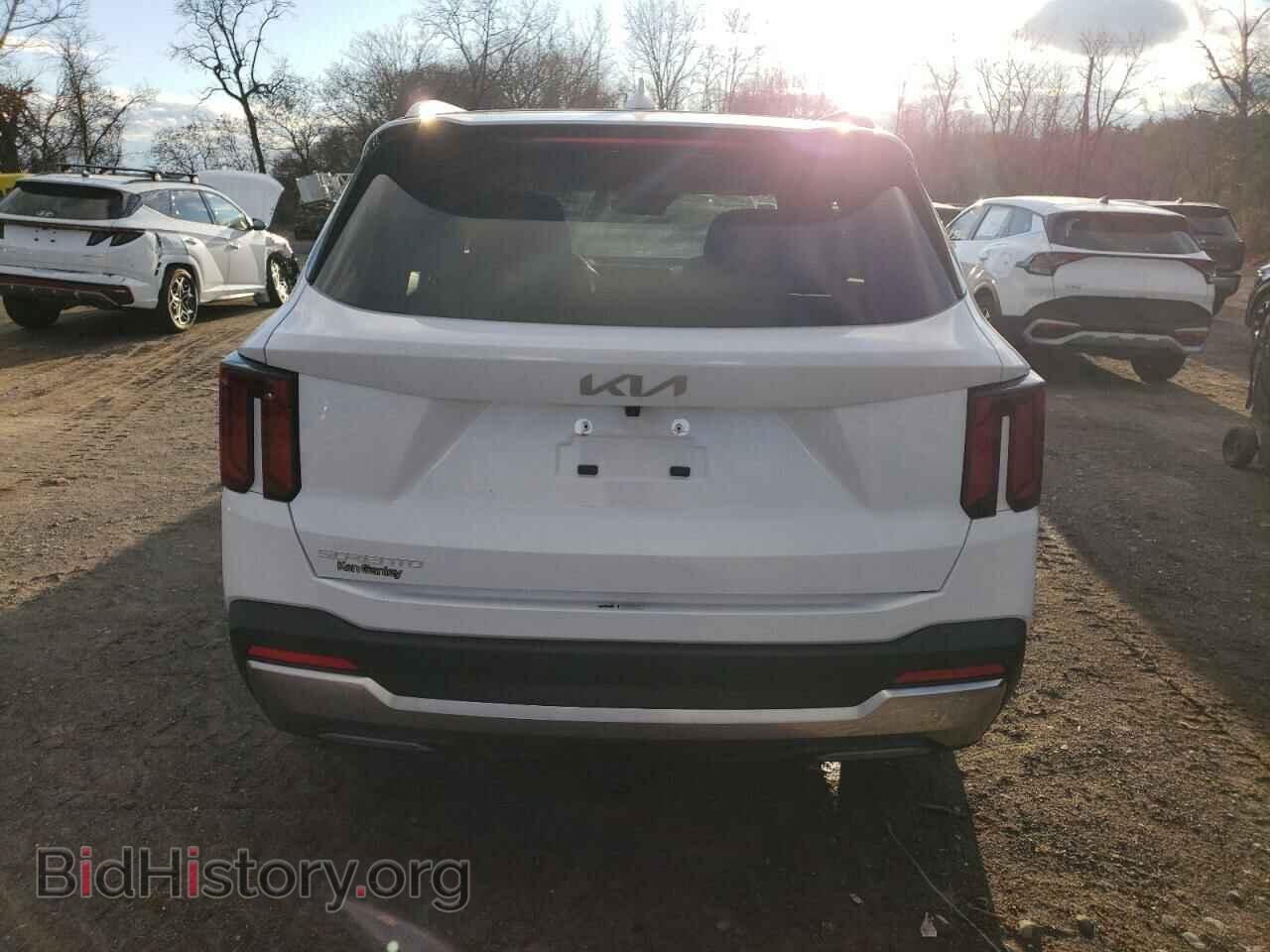 2024 KIA SORENTO - VIN: 5XYRK4JF1RG291630 - Фото 6