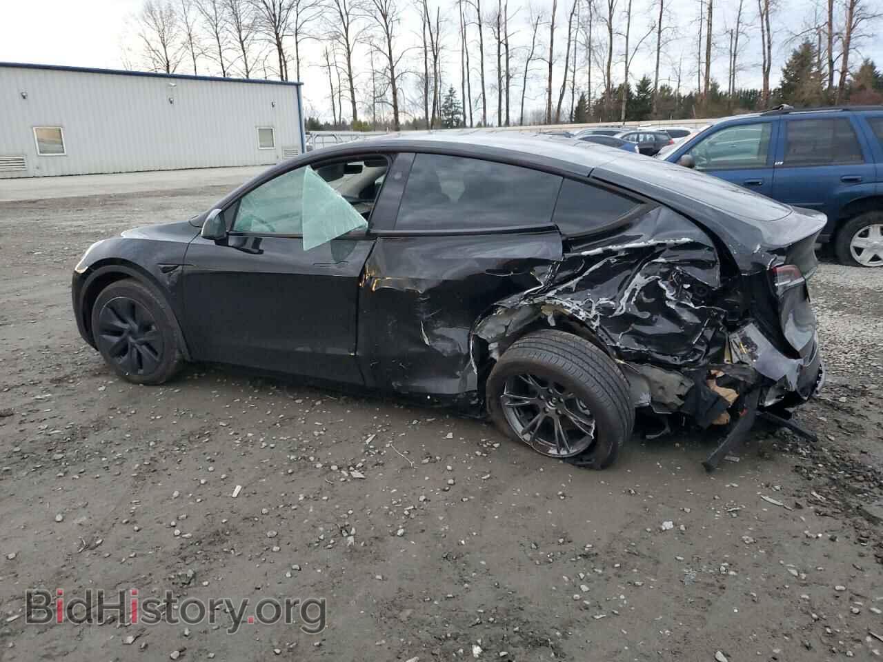 2024 TESLA MODEL Y - VIN: 7SAYGAEE8RF116542 - Фото 2