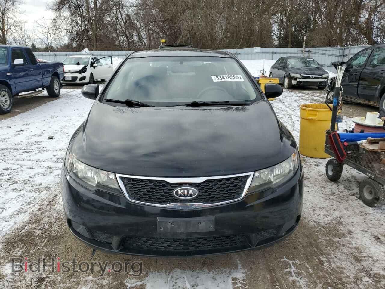 2013 KIA FORTE - VIN: KNAFT4A29D5712490 - Фото 5