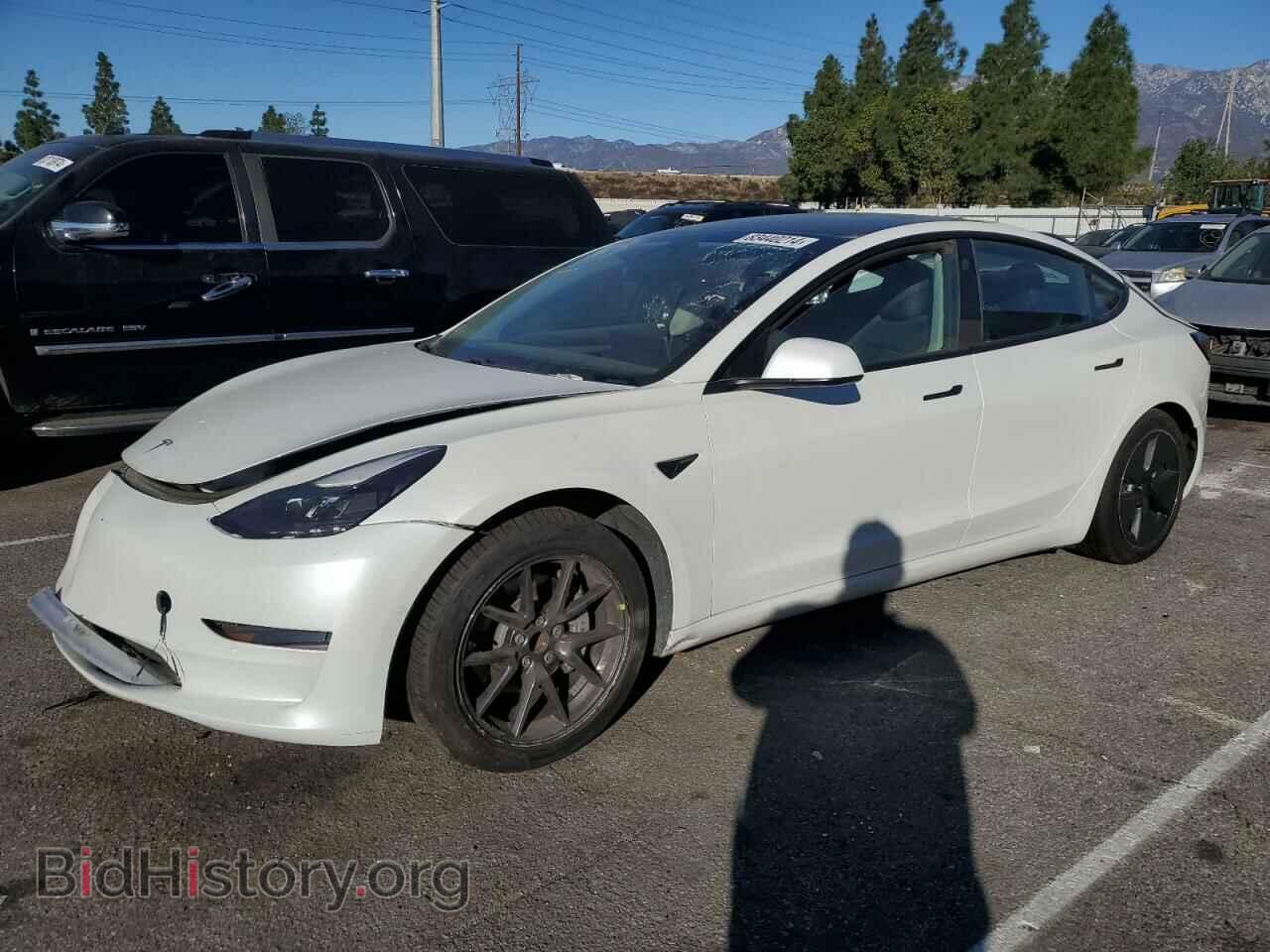 Photo 5YJ3E1EA7MF996703 - TESLA MODEL 3 2021