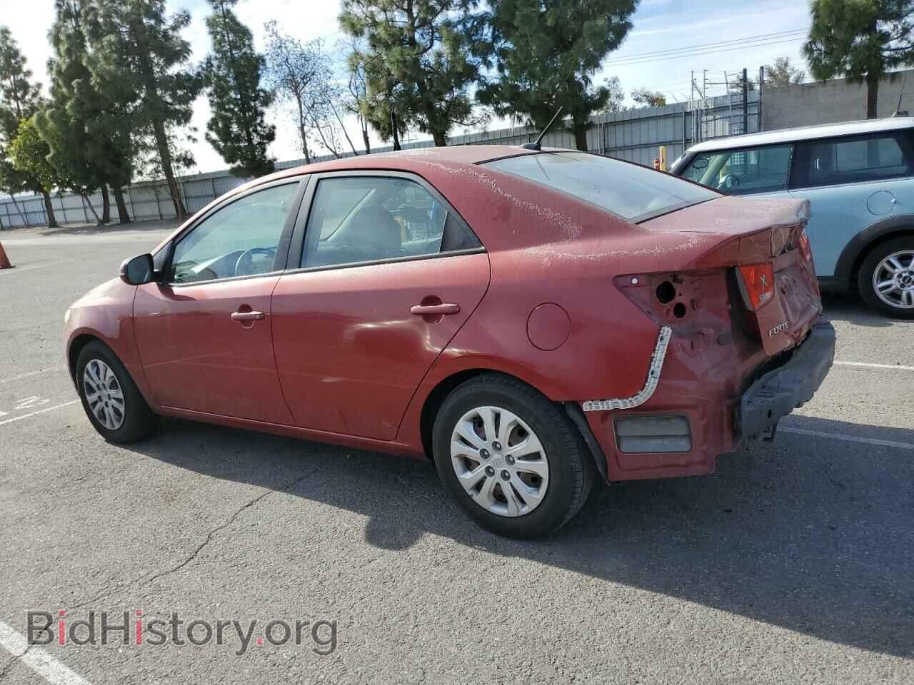 2011 KIA FORTE - VIN: KNAFU4A21B5402909 - Фото 2