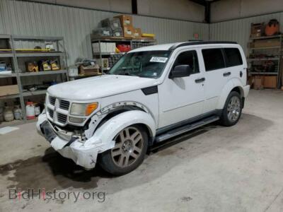 2011 Dodge NITRO Heat, белый — VIN 1D4PU4GK9BW587383, Copart