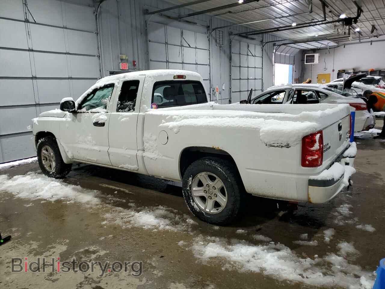 2011 DODGE DAKOTA - VIN: 1D7RW3BK0BS638560 - Фото 2