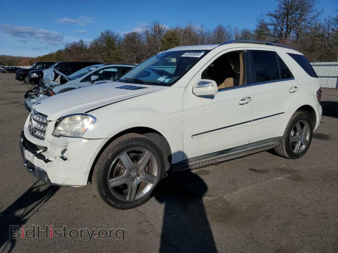Photo 4JGBB7CB8AA602077 - MERCEDES-BENZ M-CLASS 2010