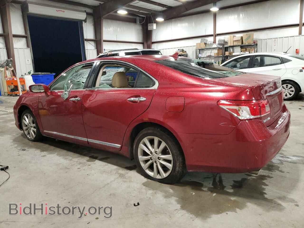2010 LEXUS ES350 - VIN: JTHBK1EG5A2361789 - Фото 2