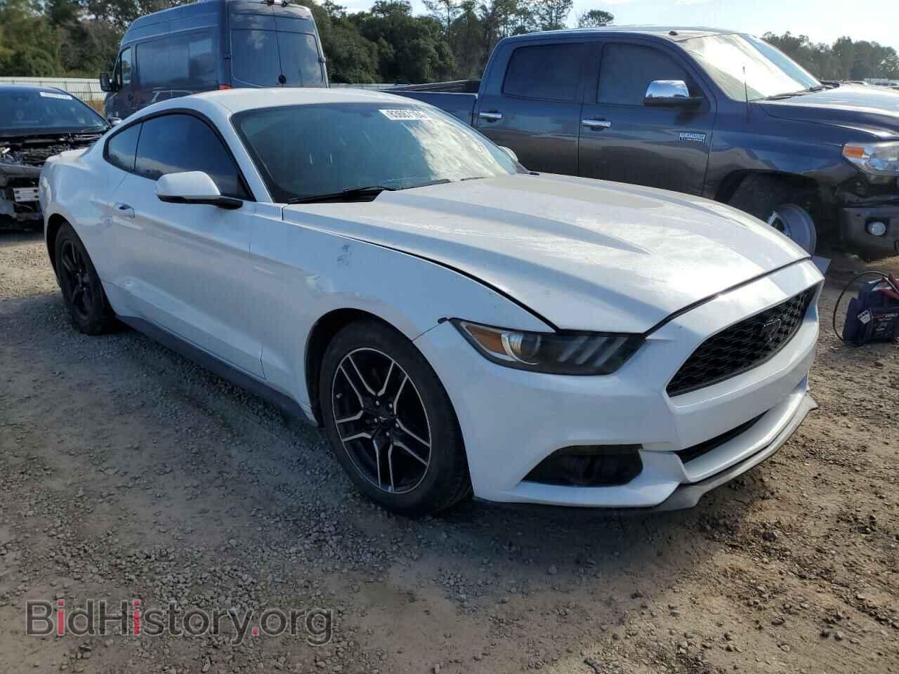 2016 FORD ALL Models - VIN: 1FA6P8TH0G5259113 - Photo 4