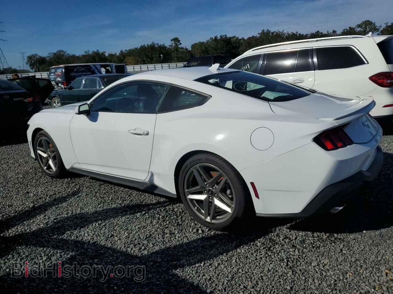 2024 FORD ALL Models - VIN: 1FA6P8TH1R5117324 - Photo 2