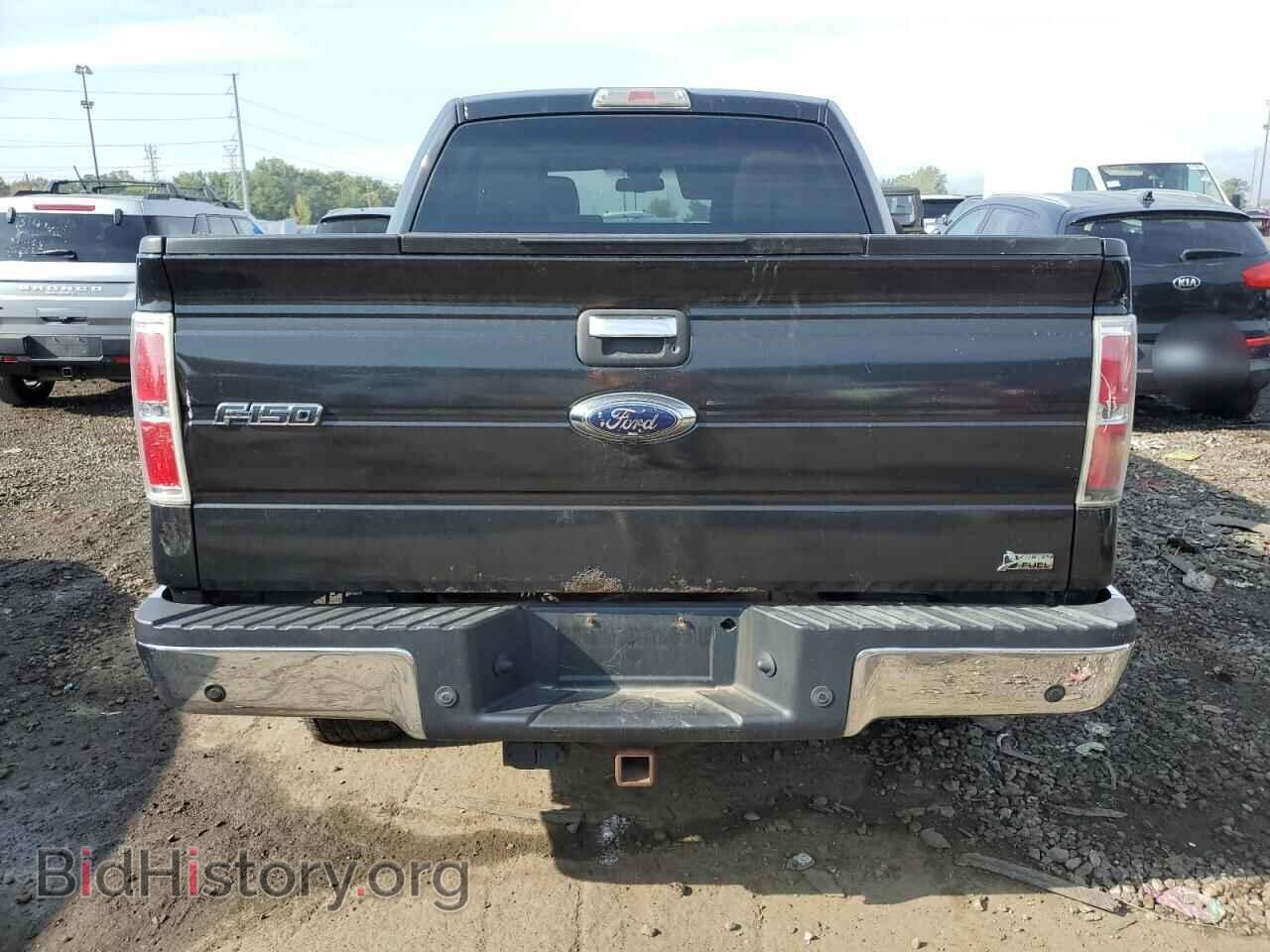 2010 FORD F-150 - VIN: 1FTFW1EV0AFC93061 - Фото 6