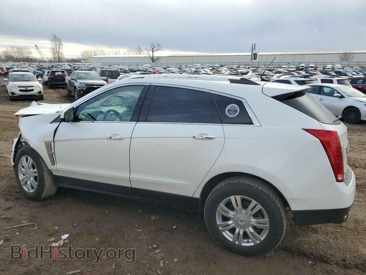 2011 CADILLAC SRX - VIN: 3GYFNDEY0BS539743 - Фото 2