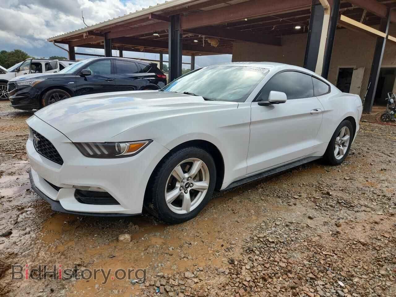 Фотография 1FA6P8AM7G5232247 - FORD ALL Models 2016