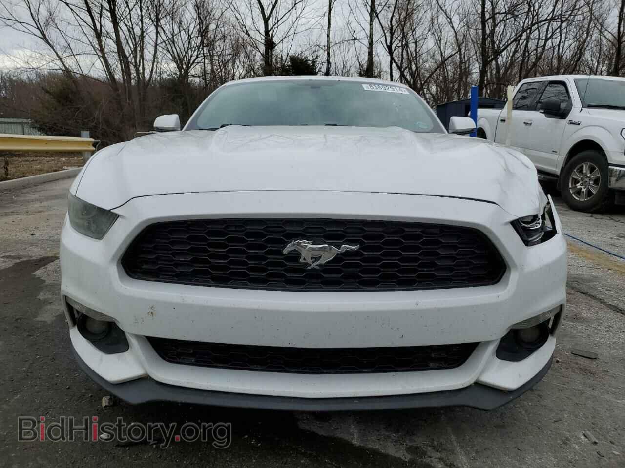 2015 FORD ALL Models - VIN: 1FA6P8TH3F5366459 - Фото 5