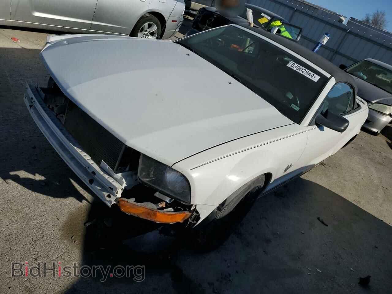 Photo 1ZVHT84N995108581 - FORD ALL Models 2009