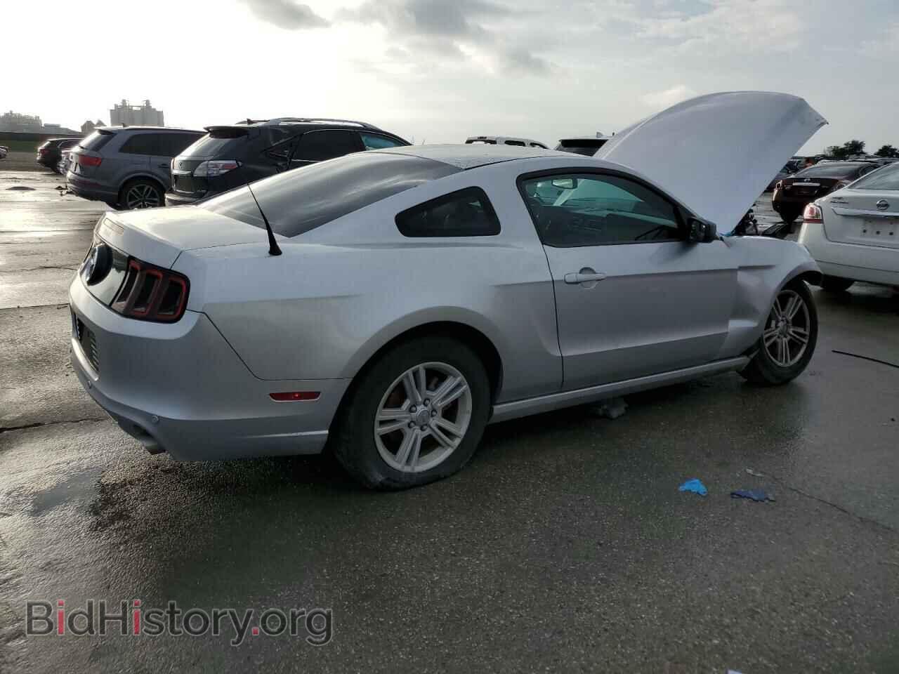 2013 FORD ALL Models - VIN: 1ZVBP8AM8D5215345 - Photo 3