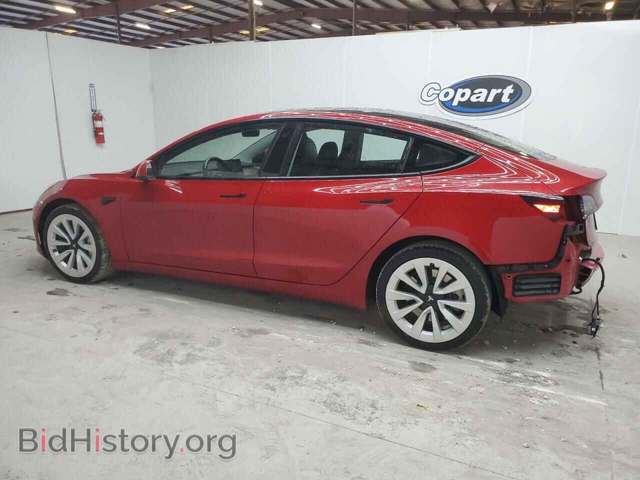 2023 TESLA MODEL 3 - VIN: 5YJ3E1EA5PF456626 - Фото 2