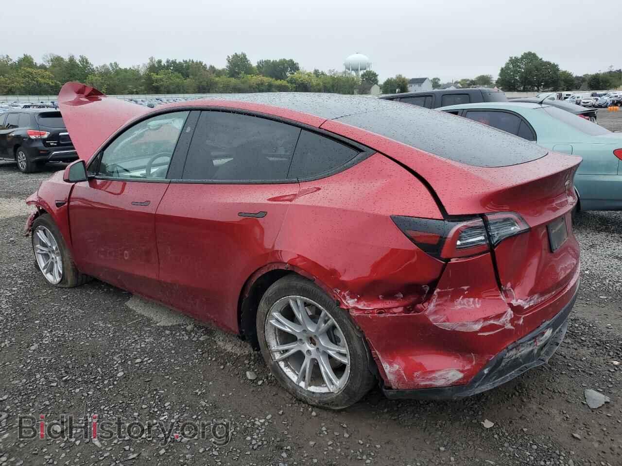 2024 TESLA MODEL Y - VIN: 7SAYGDED4RF045929 - Фото 2
