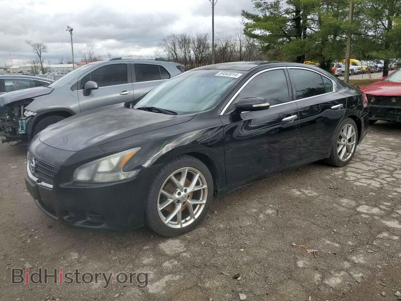 Photo 1N4AA5AP2BC808237 - NISSAN MAXIMA 2011