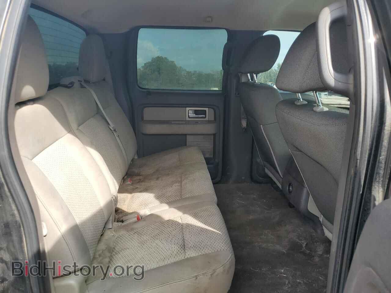 2010 FORD F-150 - VIN: 1FTEW1C88AFB18291 - Фото 10