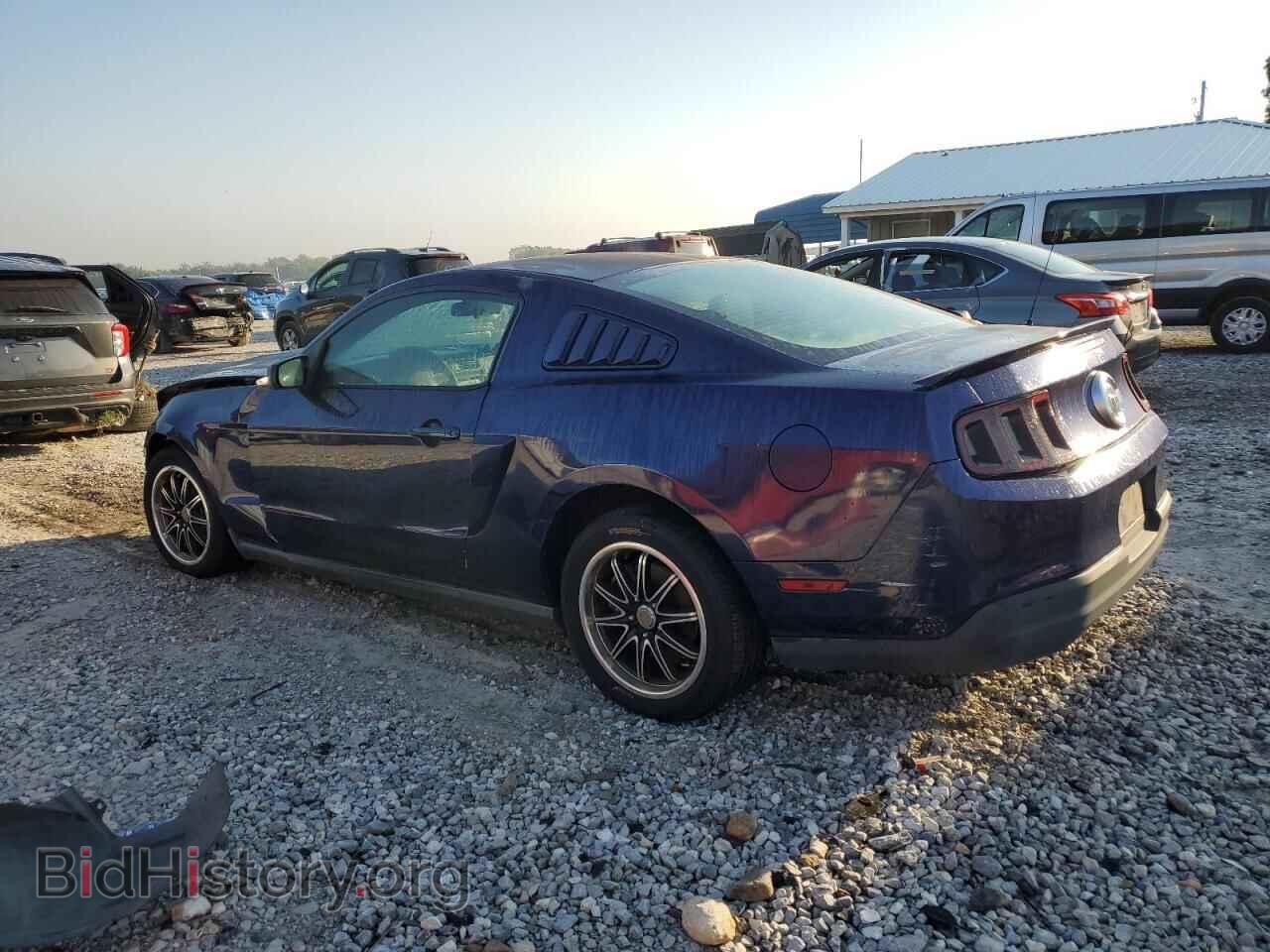 2010 FORD ALL Models - VIN: 1ZVBP8AN6A5168840 - Фото 2