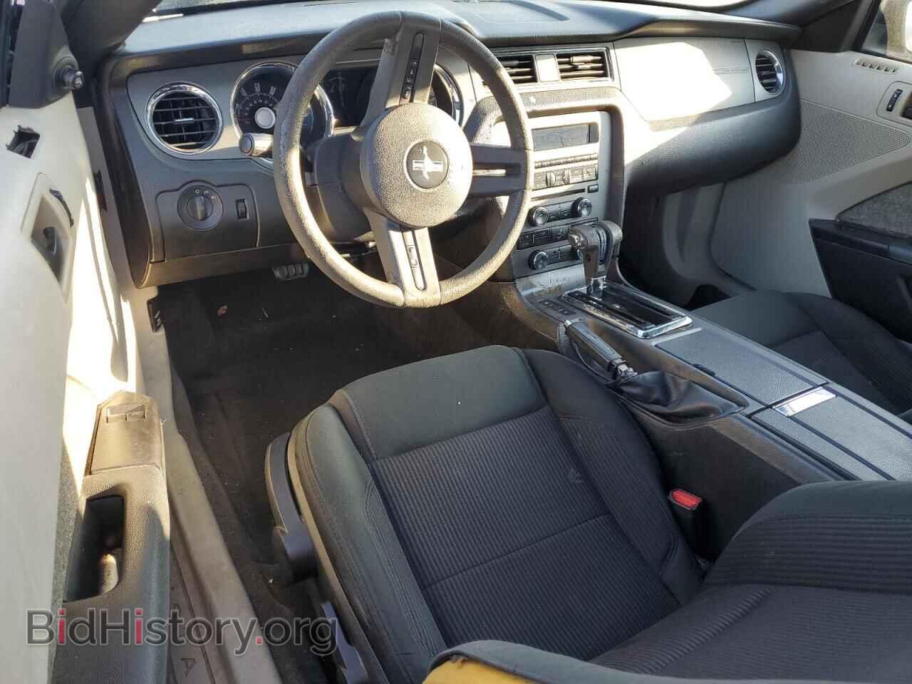 2010 FORD ALL Models - VIN: 1ZVBP8AN6A5168840 - Фото 8