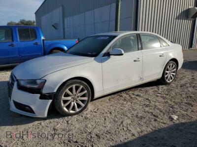 2013 Audi A4 Premium Plus, white — VIN WAUEFAFL9DN036822, Copart